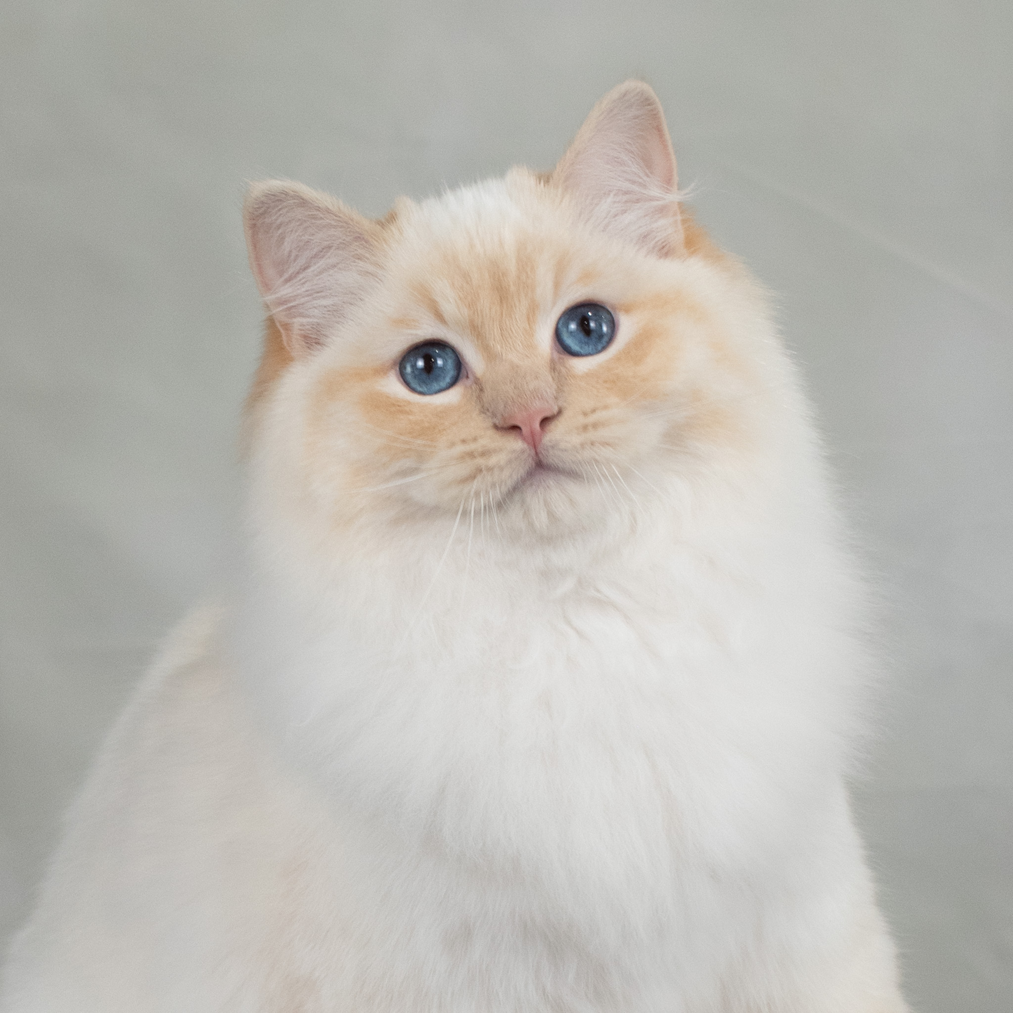 201812 BOB dag 1 kopie